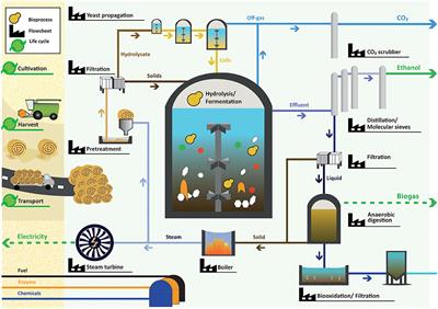 Multi-Scale Variability Analysis of Wheat Straw-Based Ethanol Biorefineries Identifies Bioprocess Designs Robust Against Process Input Variations